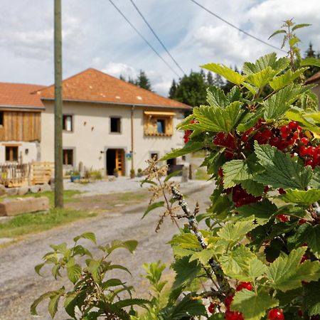 La Ferme De Jean Entre Lacs Et Montagnes Saulxures-sur-Moselotte Екстериор снимка