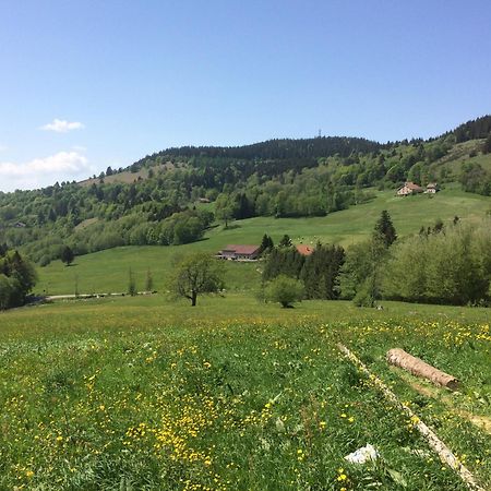La Ferme De Jean Entre Lacs Et Montagnes Saulxures-sur-Moselotte Екстериор снимка