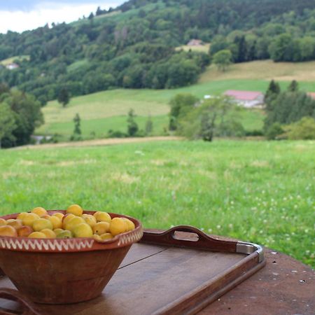 La Ferme De Jean Entre Lacs Et Montagnes Saulxures-sur-Moselotte Екстериор снимка