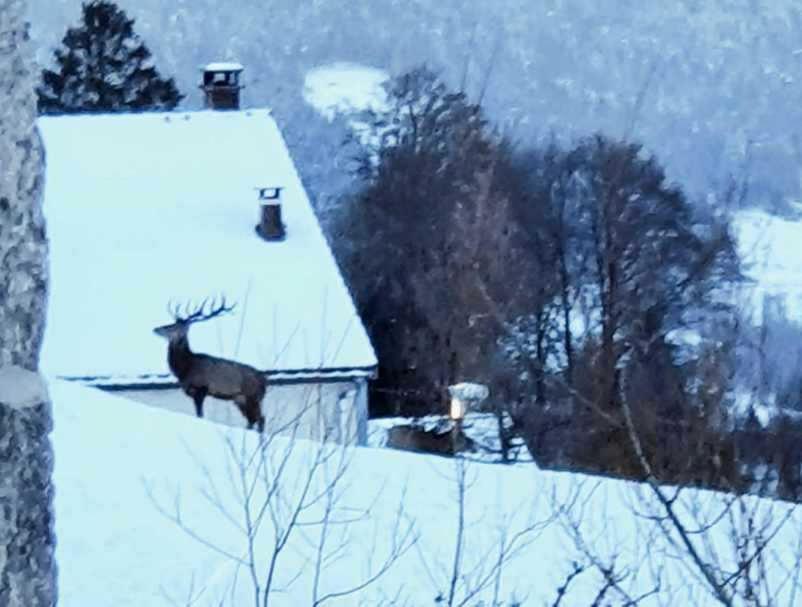 La Ferme De Jean Entre Lacs Et Montagnes Saulxures-sur-Moselotte Екстериор снимка