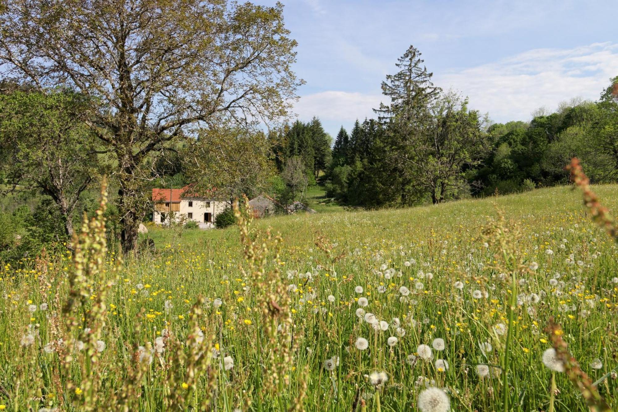 La Ferme De Jean Entre Lacs Et Montagnes Saulxures-sur-Moselotte Екстериор снимка
