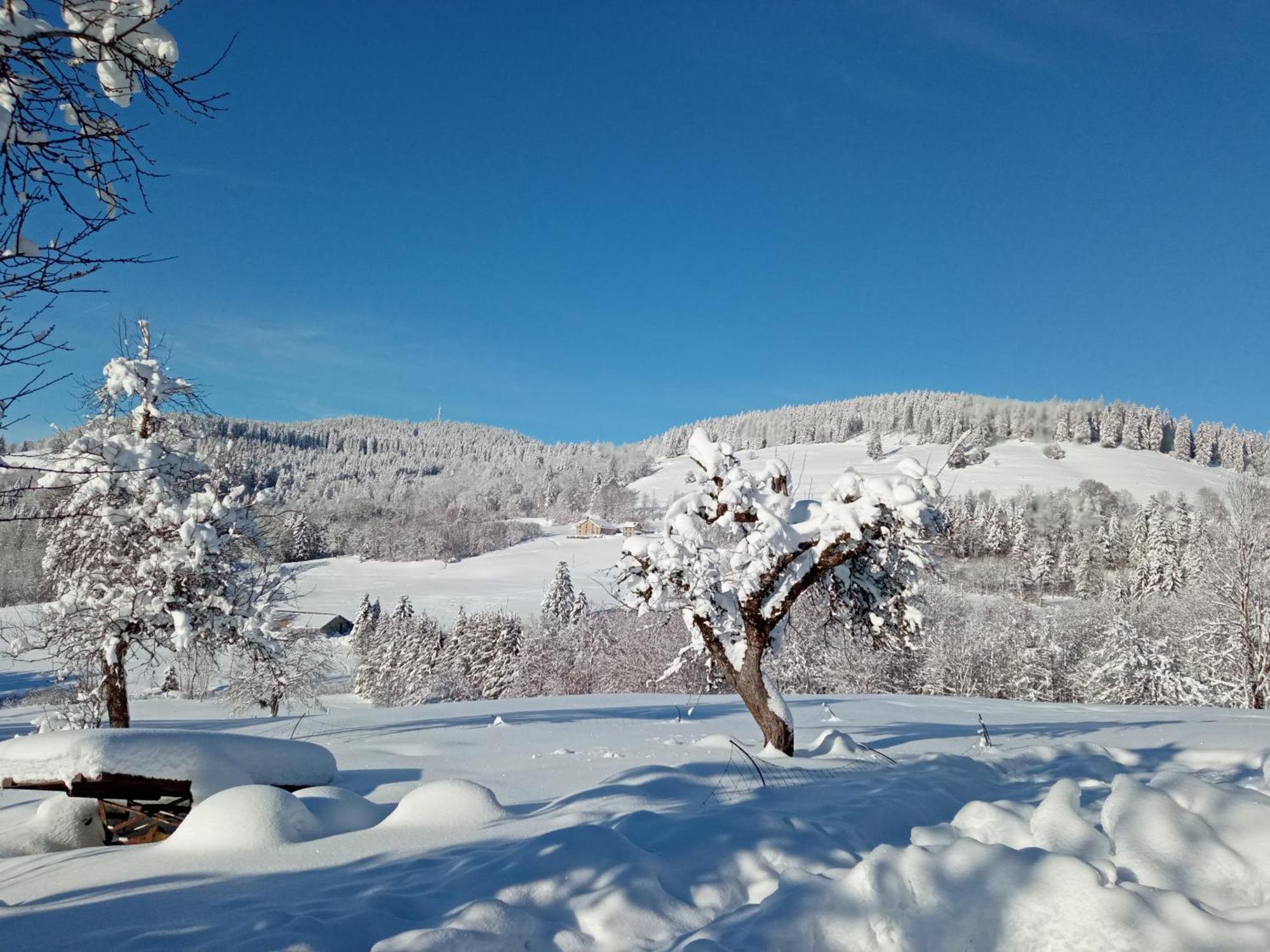 La Ferme De Jean Entre Lacs Et Montagnes Saulxures-sur-Moselotte Екстериор снимка