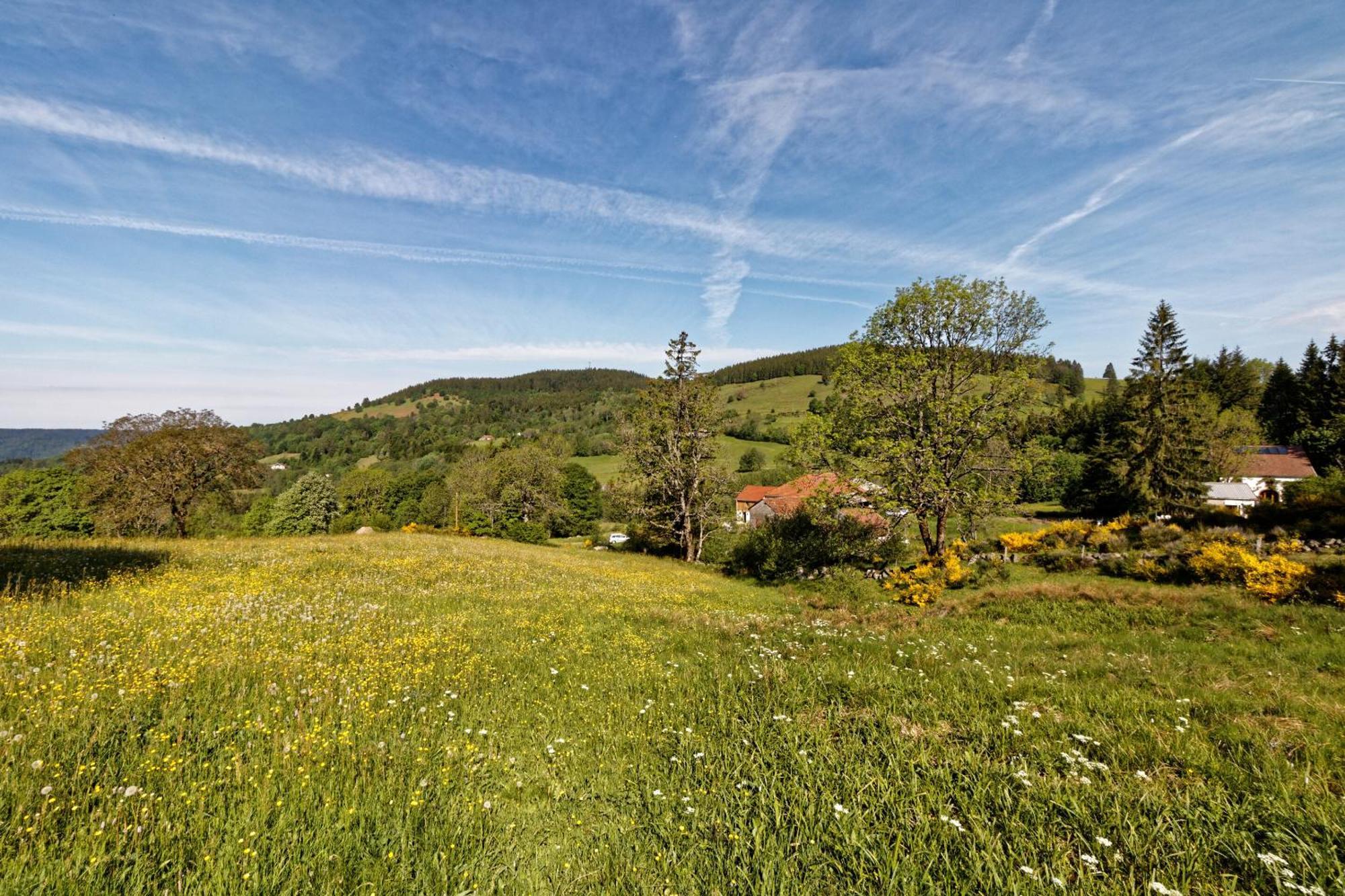 La Ferme De Jean Entre Lacs Et Montagnes Saulxures-sur-Moselotte Екстериор снимка