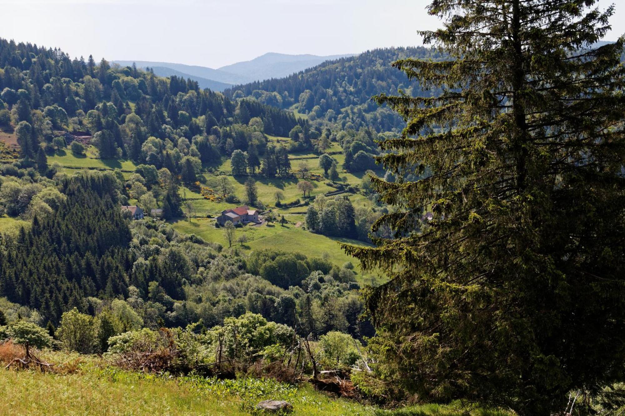 La Ferme De Jean Entre Lacs Et Montagnes Saulxures-sur-Moselotte Екстериор снимка