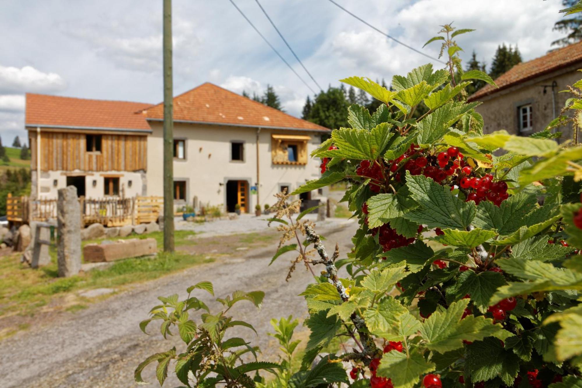 La Ferme De Jean Entre Lacs Et Montagnes Saulxures-sur-Moselotte Екстериор снимка