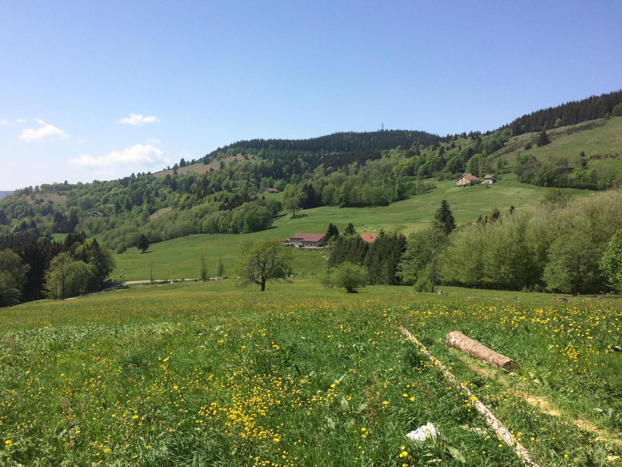 La Ferme De Jean Entre Lacs Et Montagnes Saulxures-sur-Moselotte Екстериор снимка