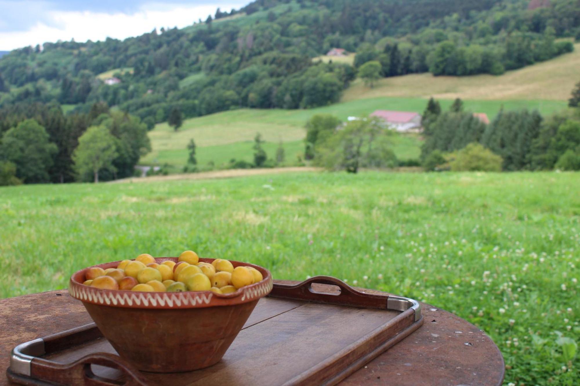 La Ferme De Jean Entre Lacs Et Montagnes Saulxures-sur-Moselotte Екстериор снимка